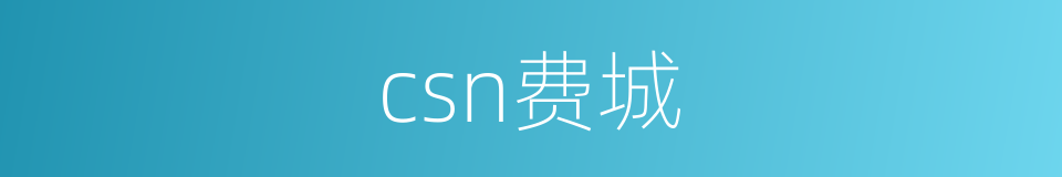 csn费城的同义词