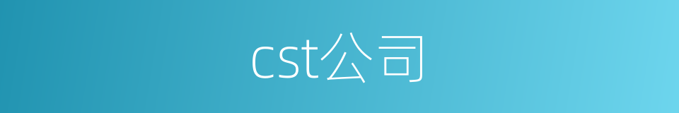 cst公司的同义词