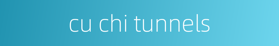 cu chi tunnels的同义词