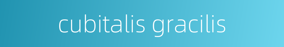 cubitalis gracilis的同义词