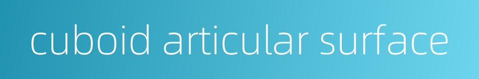 cuboid articular surface的同义词
