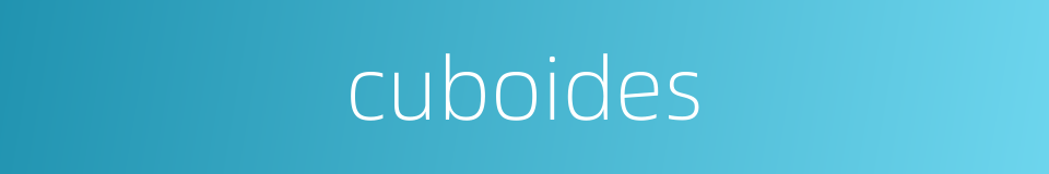 cuboides的同义词