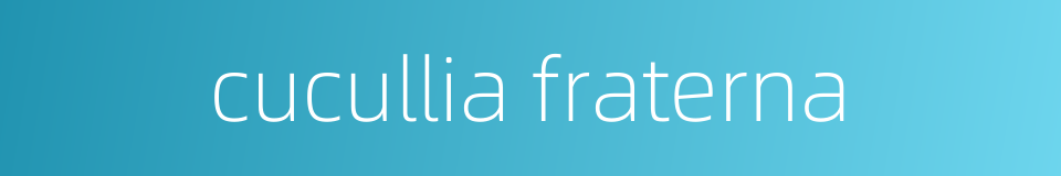 cucullia fraterna的同义词