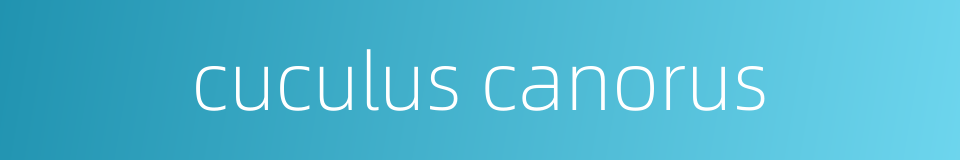 cuculus canorus的同义词
