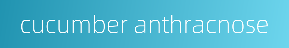 cucumber anthracnose的同义词