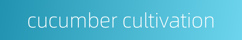 cucumber cultivation的同义词