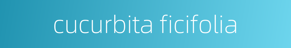 cucurbita ficifolia的同义词