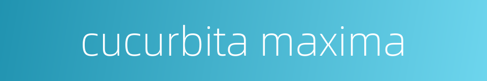 cucurbita maxima的同义词