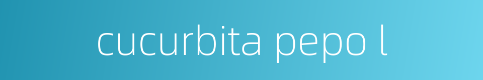 cucurbita pepo l的同义词