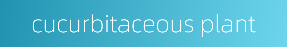 cucurbitaceous plant的同义词