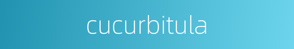 cucurbitula的同义词