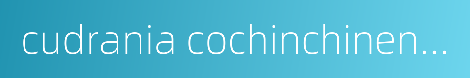 cudrania cochinchinensis的同义词