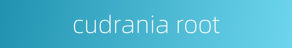 cudrania root的同义词