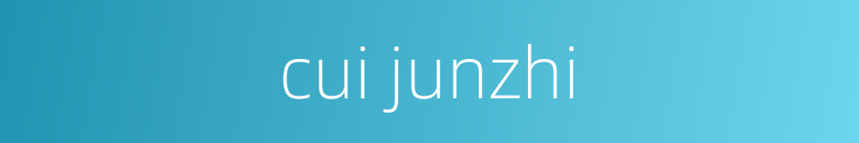 cui junzhi的同义词