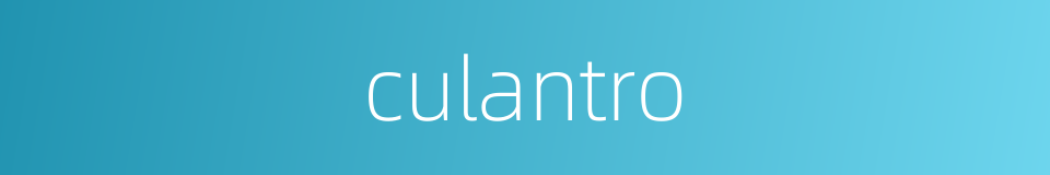 culantro的同义词