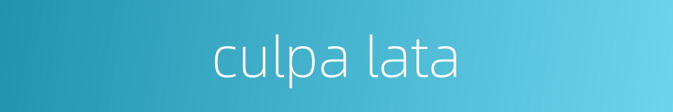culpa lata的同义词