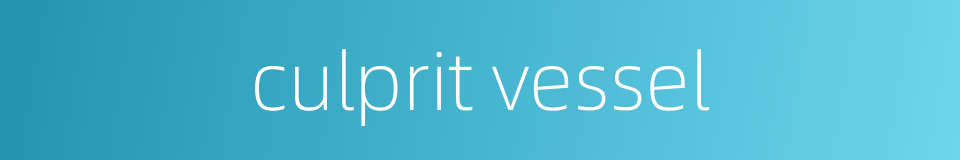 culprit vessel的同义词