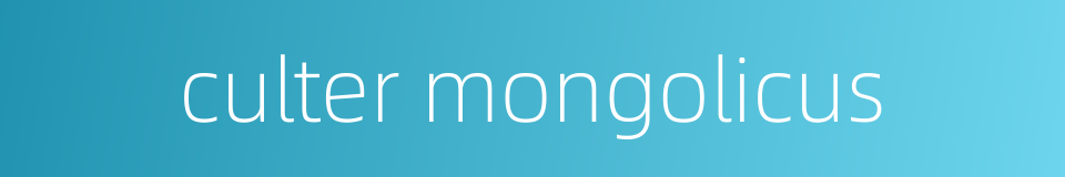culter mongolicus的同义词