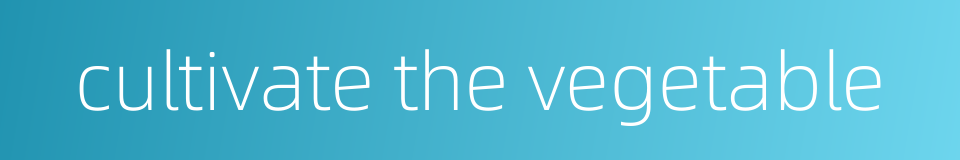 cultivate the vegetable的同义词