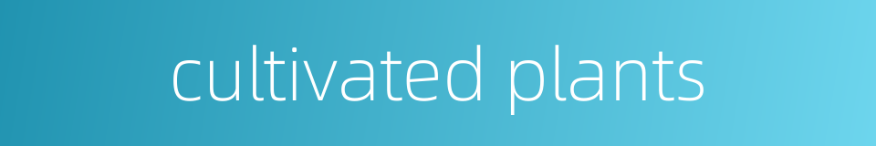 cultivated plants的同义词