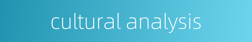 cultural analysis的同义词