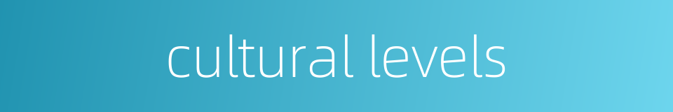 cultural levels的同义词