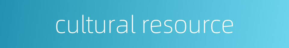 cultural resource的同义词