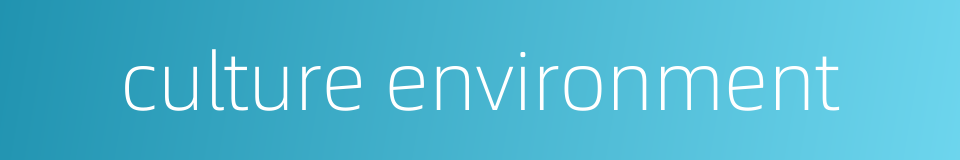 culture environment的同义词