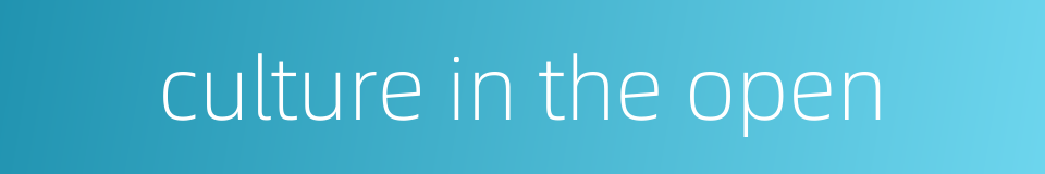 culture in the open的同义词