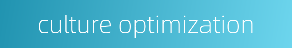 culture optimization的同义词