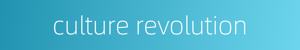 culture revolution的同义词