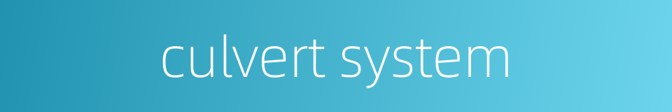 culvert system的同义词