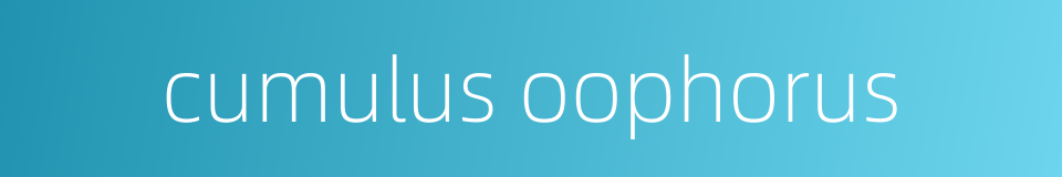 cumulus oophorus的同义词