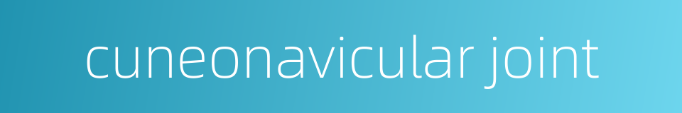cuneonavicular joint的同义词