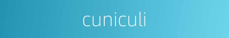 cuniculi的同义词