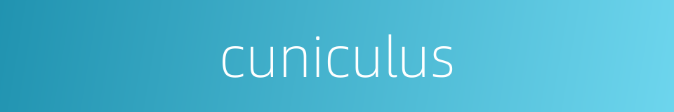 cuniculus的同义词