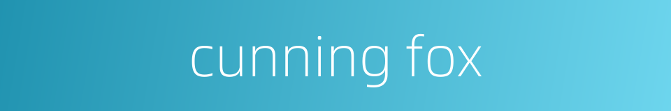 cunning fox的同义词