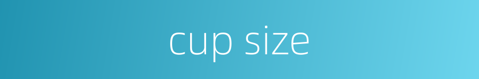 cup size的同义词