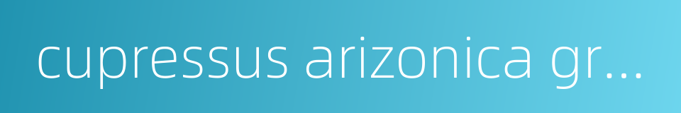 cupressus arizonica greene的同义词