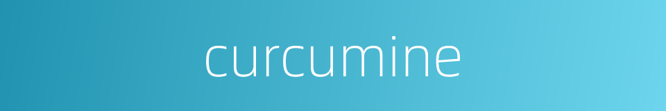 curcumine的同义词