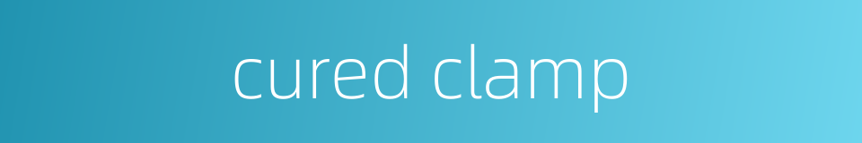 cured clamp的同义词