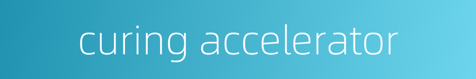 curing accelerator的同义词