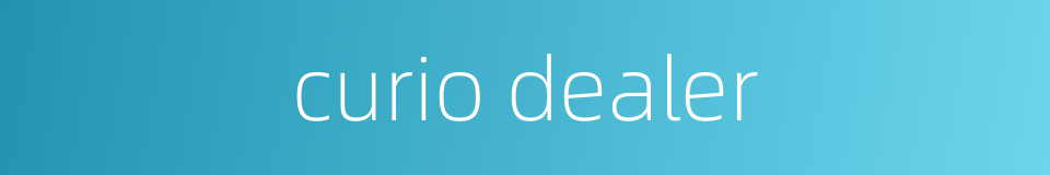curio dealer的同义词