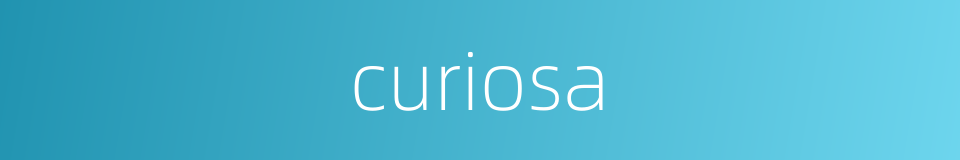 curiosa的同义词