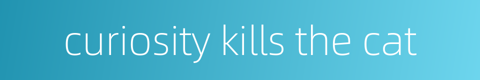 curiosity kills the cat的同义词
