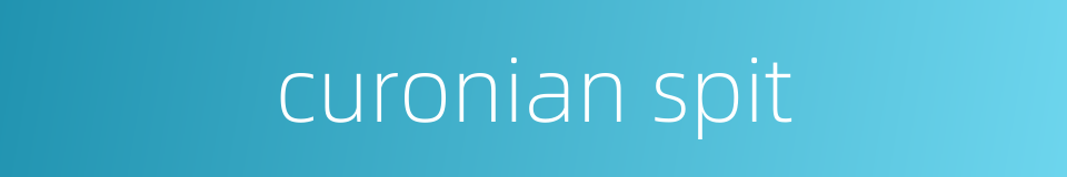 curonian spit的同义词