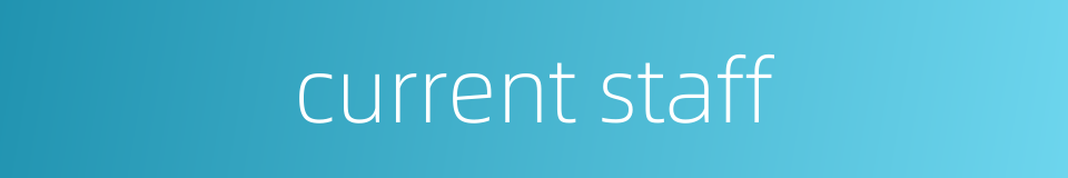 current staff的同义词