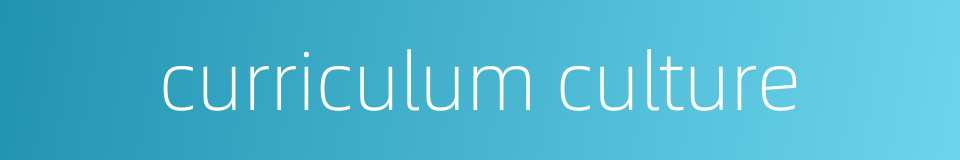 curriculum culture的同义词
