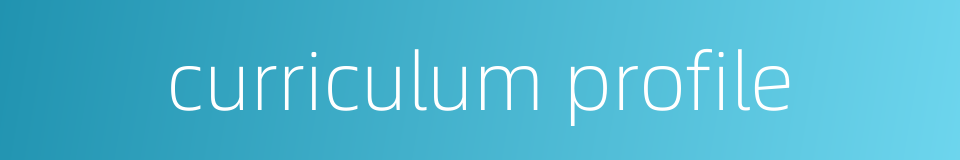 curriculum profile的同义词