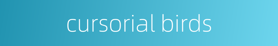 cursorial birds的同义词